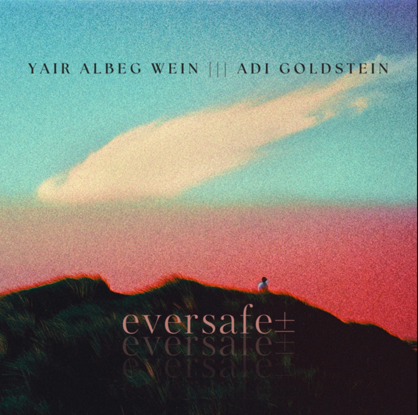 eversafe± cover artwork